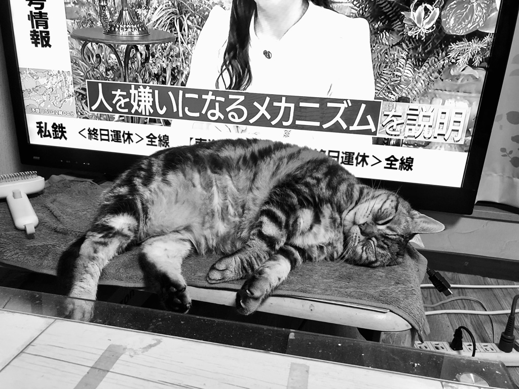 決して嫌われて無いと思う？