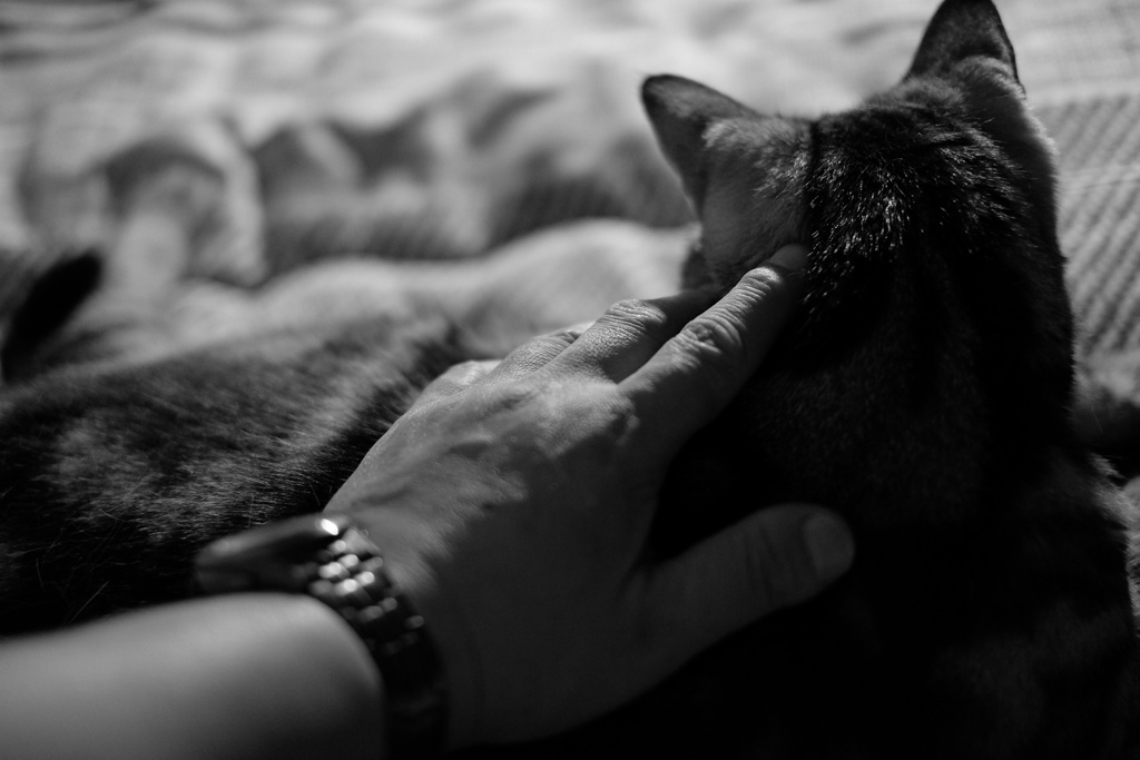 いつも側に居てくれる。