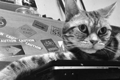 イケメンかな？