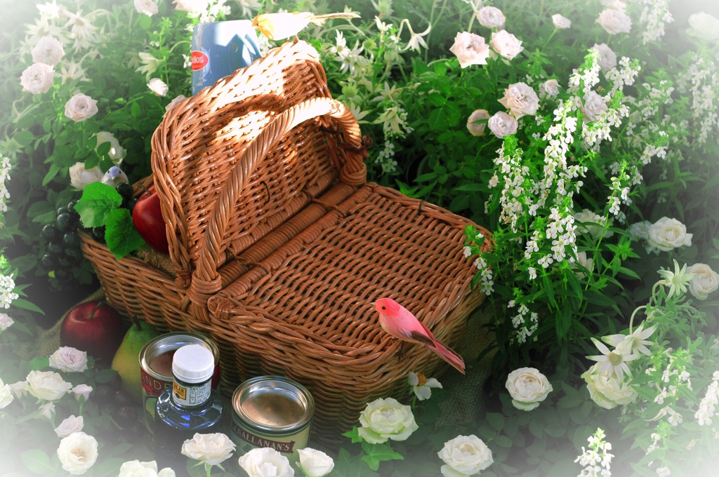 カメラ女子=(^.^)=