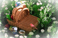 カメラ女子=(^.^)=