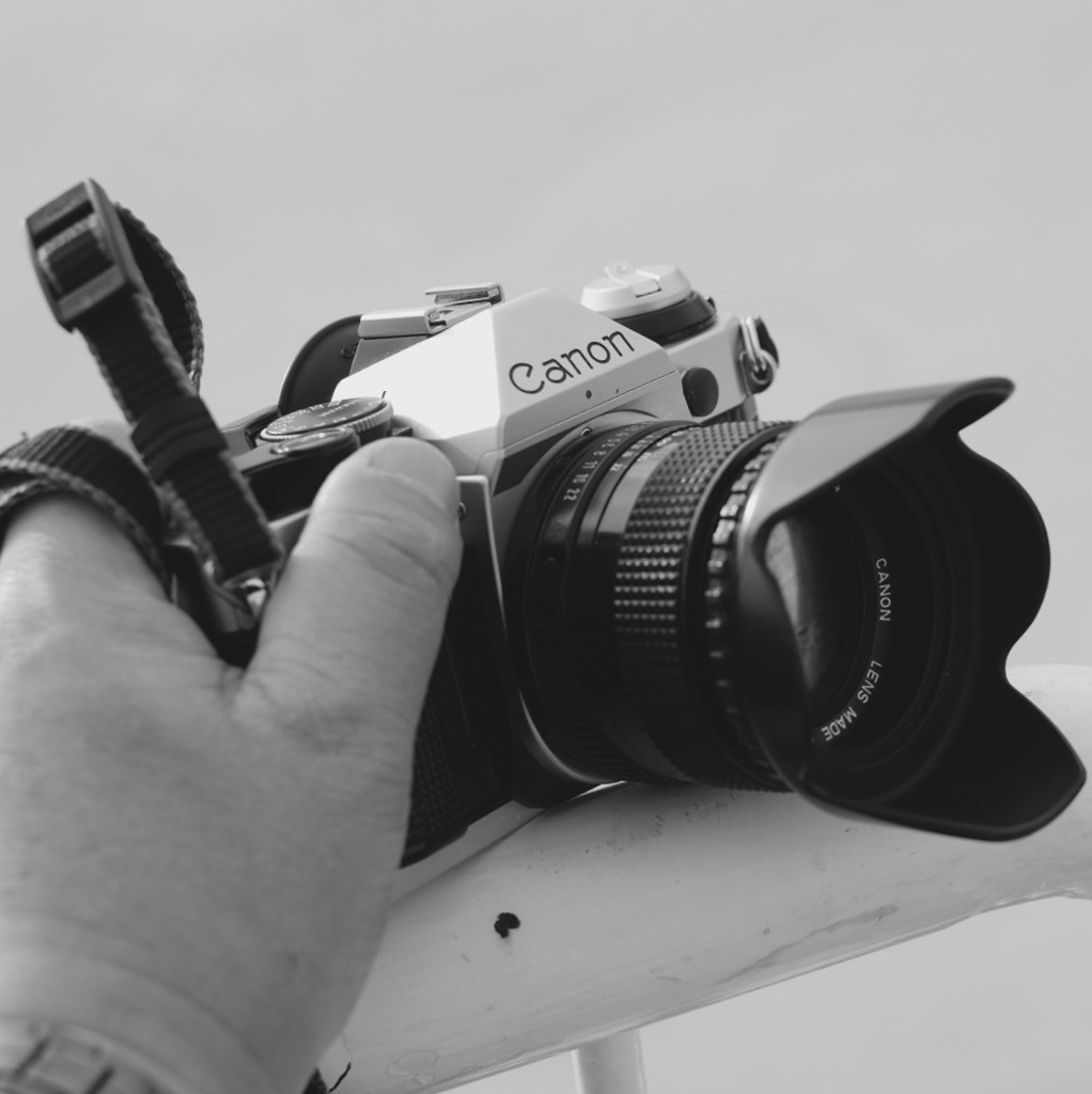 ちゃんと撮れてるかな？