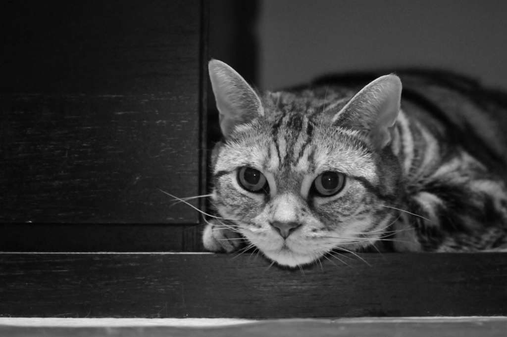 お気に入りの場所