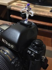 フィルム入れよう！