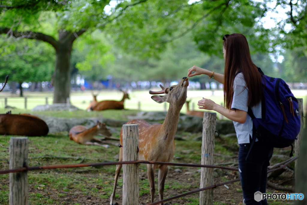 綺麗なお姉さんには愛想良くって感じ(๑˃̵ᴗ˂̵)