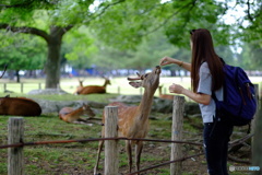 綺麗なお姉さんには愛想良くって感じ(๑˃̵ᴗ˂̵)