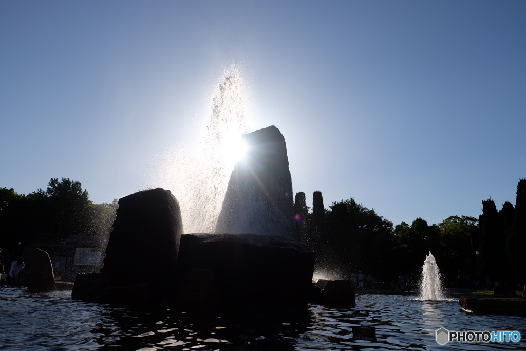 よく歩きました。最後は大阪城公園の噴水で。