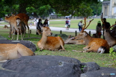 お腹いっぱいですから〜