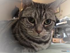 いつまで寝てるニャ〜（≧∇≦）