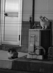 DSC_5689