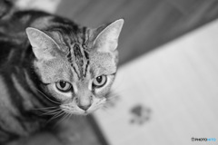 かまってモード突入です(๑˃̵ᴗ˂̵)