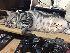  邪魔しないでね(๑˃̵ᴗ˂̵)