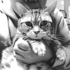 証明写真か٩( ᐛ )و