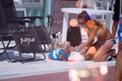  ビーチは僕が守るワン^ - ^