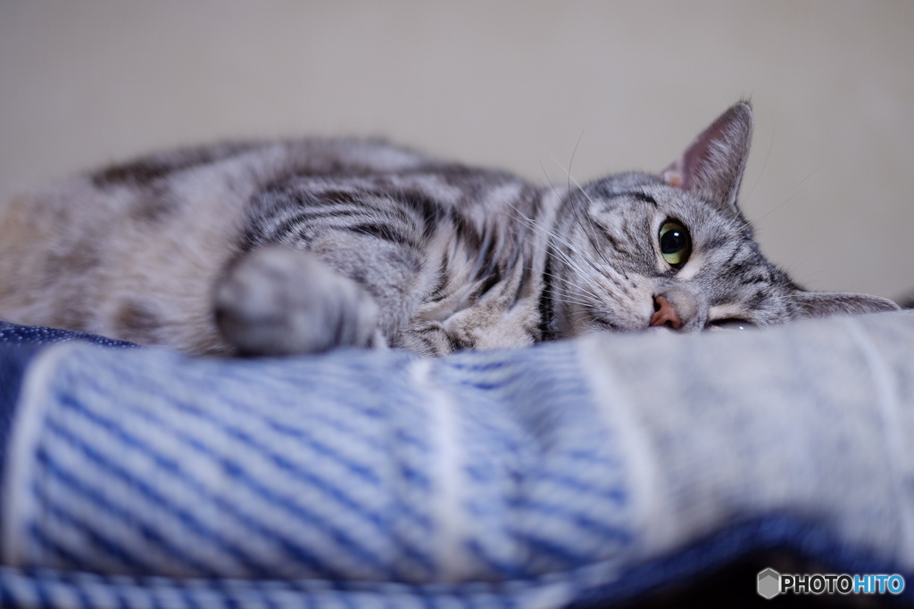 早く帰って遊んであげます。