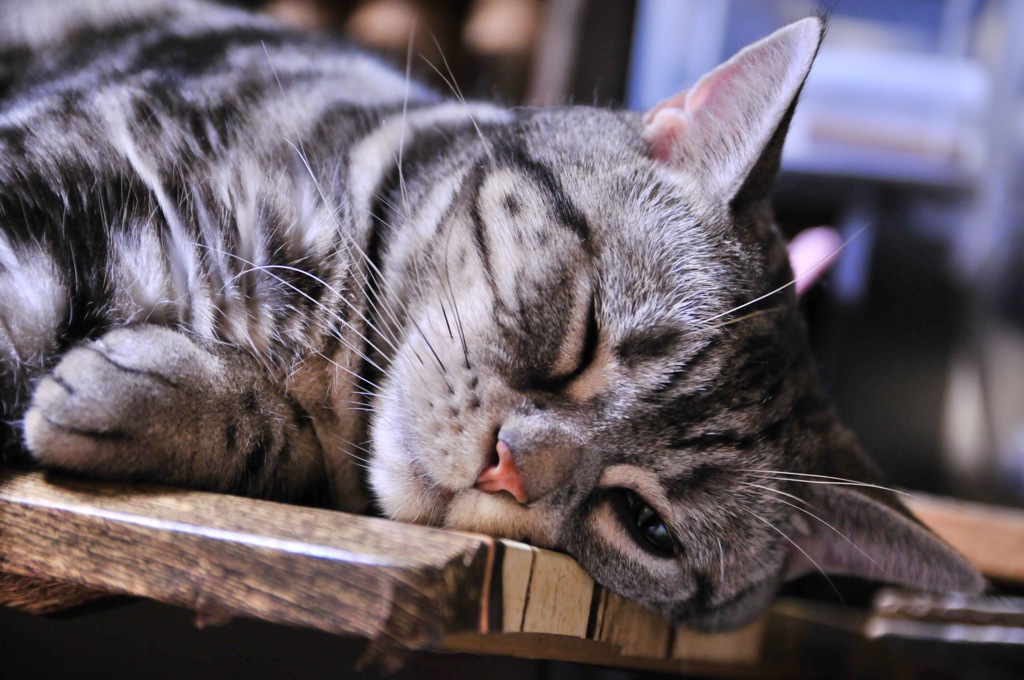 スイッチOFF(_ _).｡o○