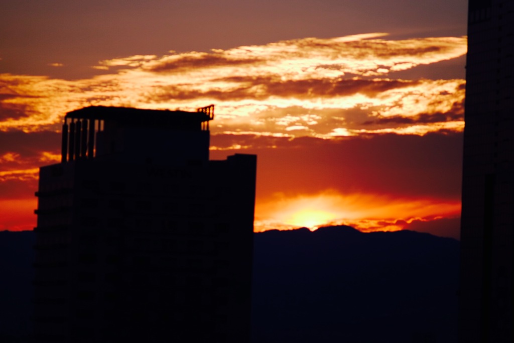 美味しそうに焼けました(*ﾟ∀ﾟ*)