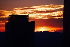 美味しそうに焼けました(*ﾟ∀ﾟ*)