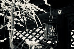 天満宮