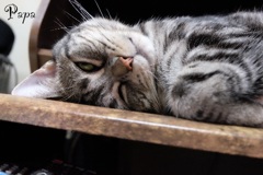 恐いわ(*ﾟ∀ﾟ*)