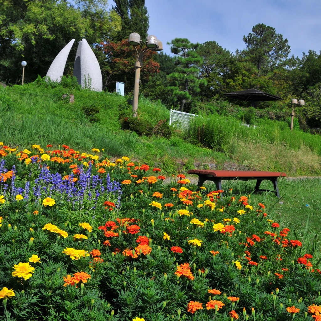 ガラにも無いですかね(^｡^)