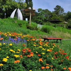 ガラにも無いですかね(^｡^)