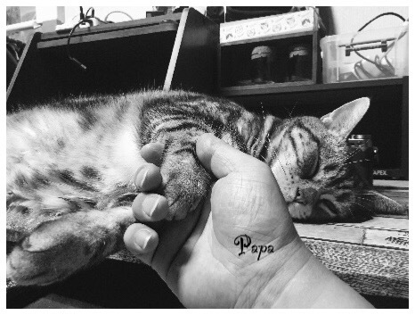 ハイハイ握手にゃ〜〜