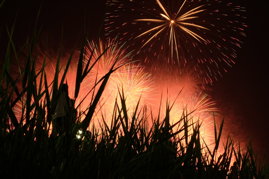 淀川花火