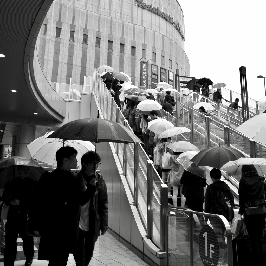 雨-雨-雨〜〜\(//∇//)\