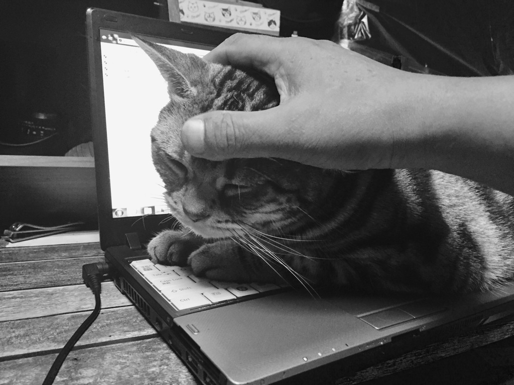 お決まりのお邪魔虫^_^