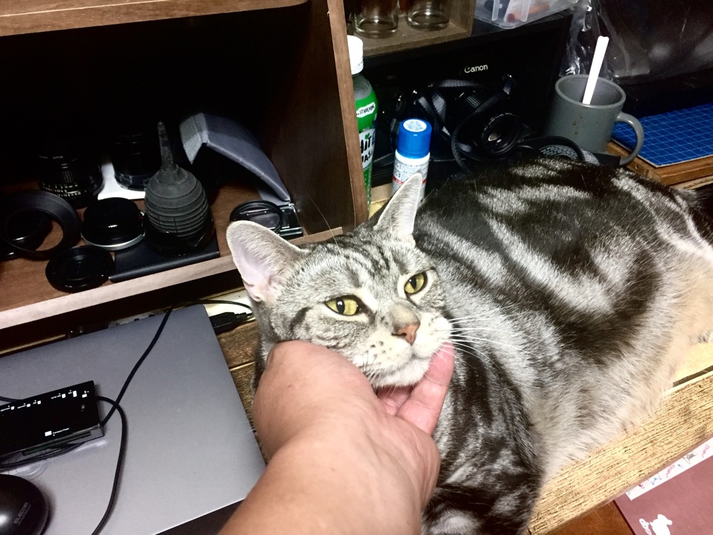 どいてくれよな〜〜（╹◡╹）