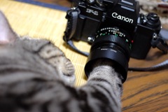 そこはダメヨ〜〜