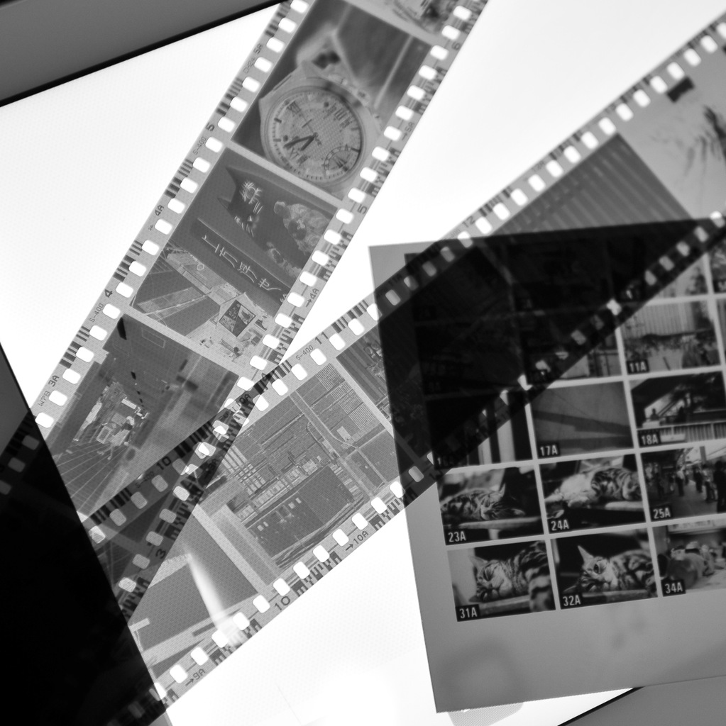 フィルム楽しんでますか(^.^)