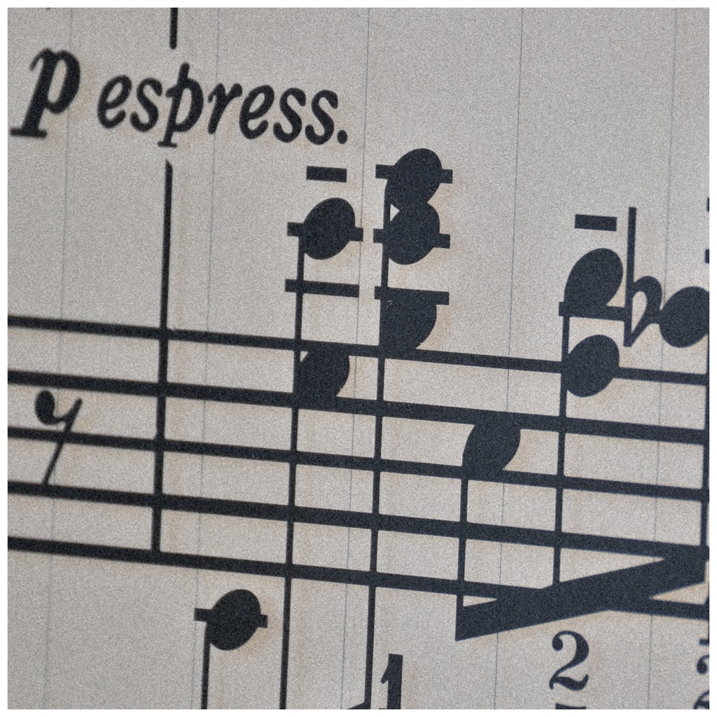 音符なんか読めね〜〜よ✌︎('ω')✌︎