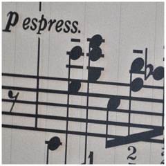 音符なんか読めね〜〜よ✌︎('ω')✌︎