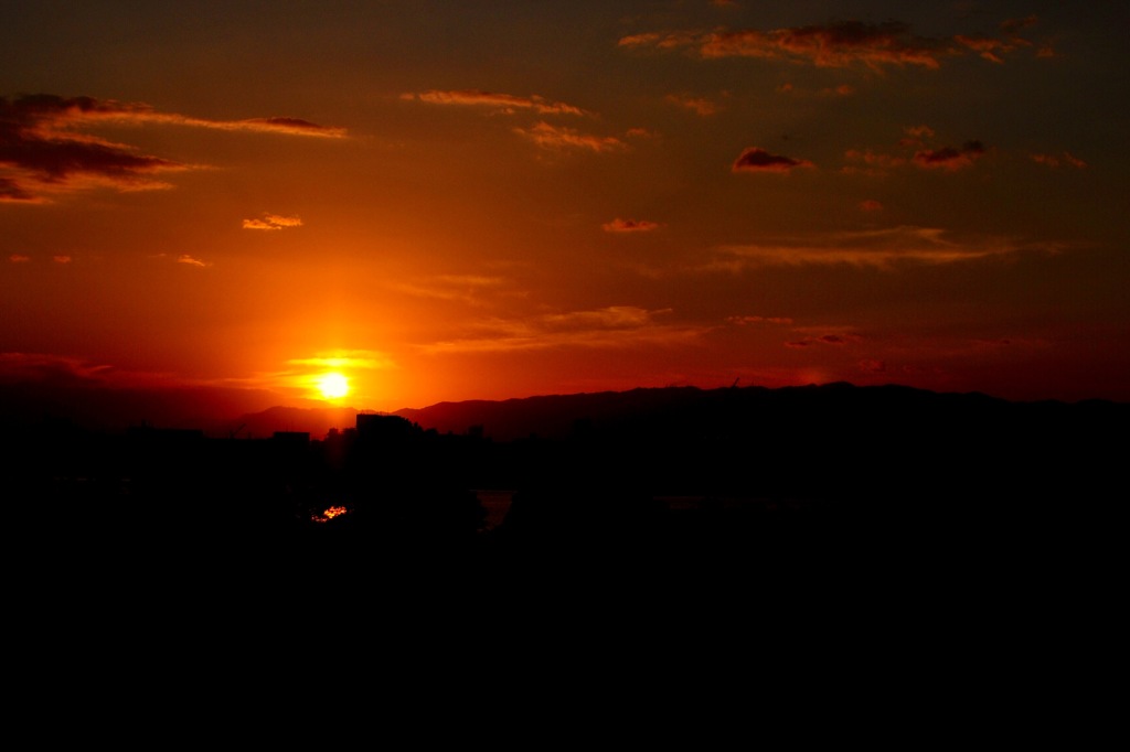 良く撮って良く歩いた。帰ろ〜〜