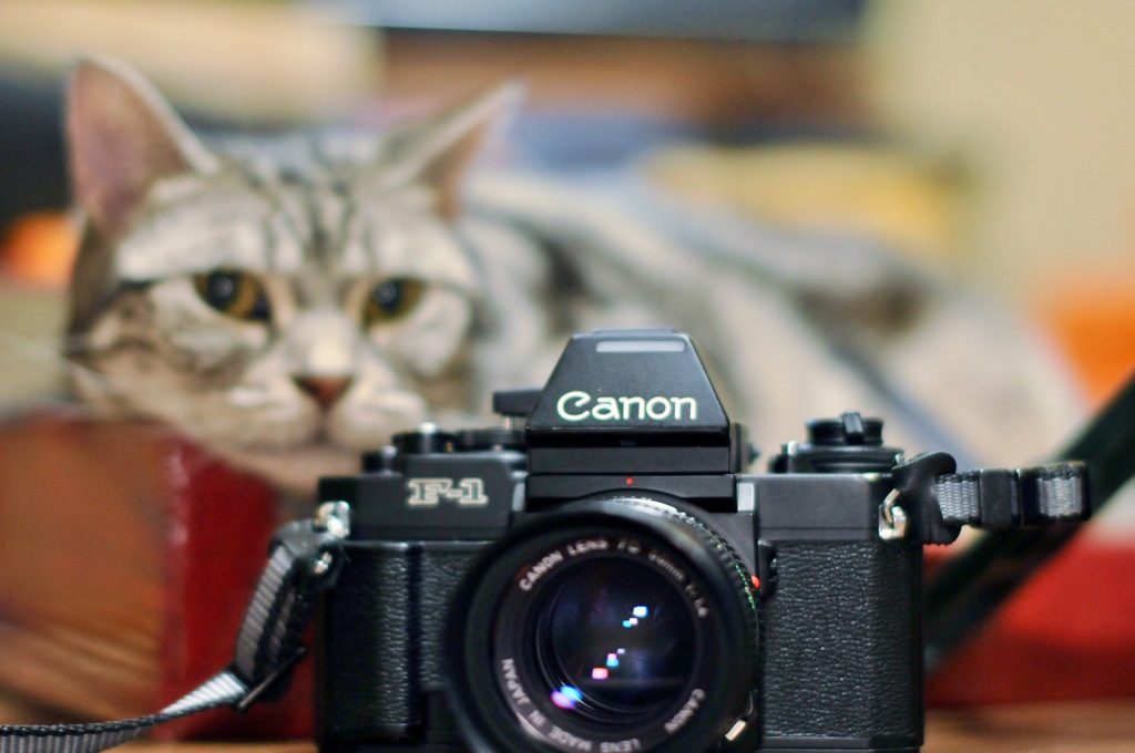 宝物2ショット( ＾∀＾)