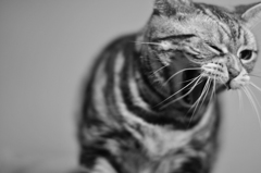 よく寝ましたね=(^.^)=
