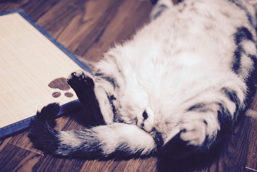 ネタ切れ2（≧∇≦）