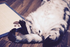 ネタ切れ2（≧∇≦）