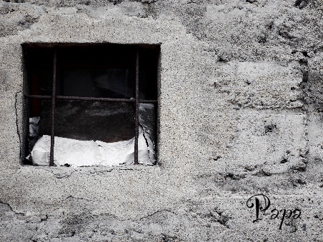 お疲れ様でした)^o^(