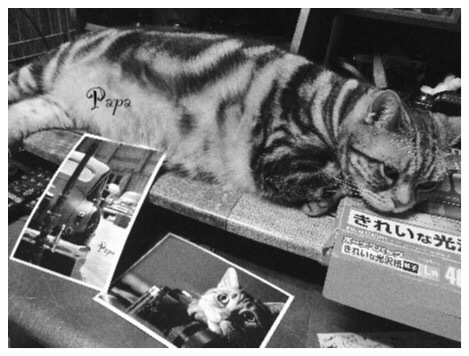 お気に入りプリント)^o^(