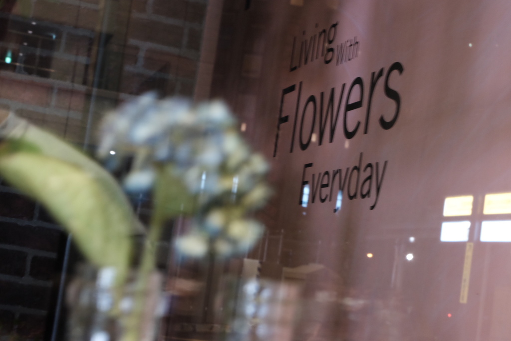 ジョニ夫さんの様にはいきませんね〜（ ; ; ）