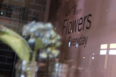 ジョニ夫さんの様にはいきませんね〜（ ; ; ）