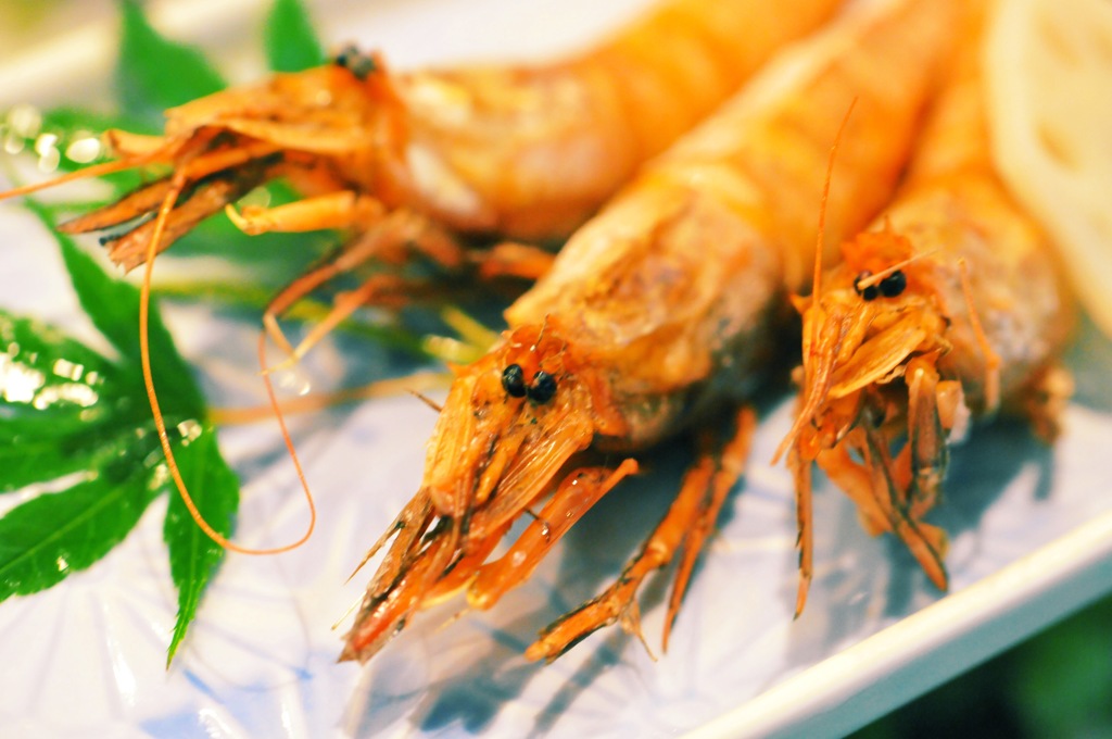 本日のおすすめは〜〜