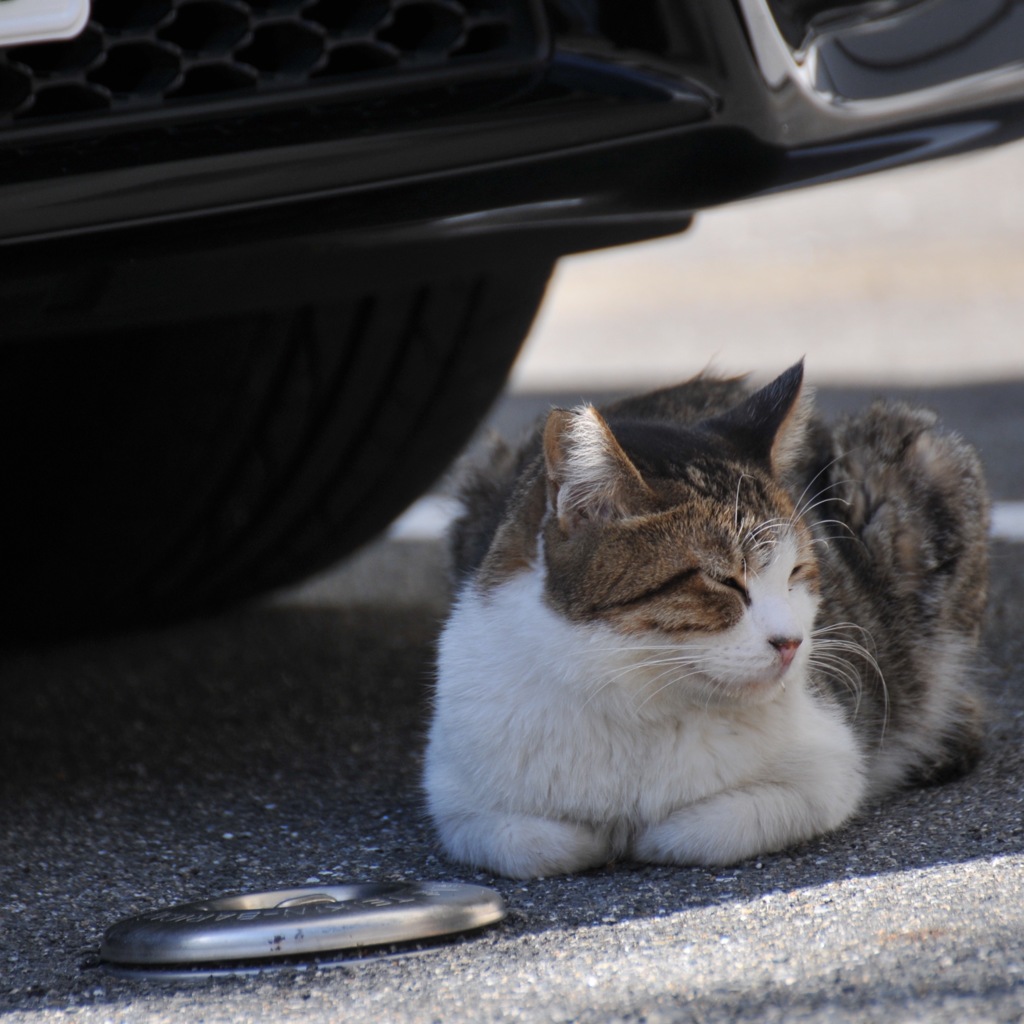 兄ちゃん食いもんよこせよ〜