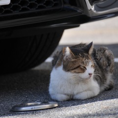 兄ちゃん食いもんよこせよ〜