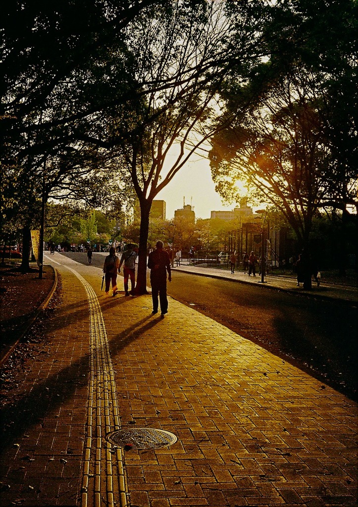 夕暮れ〜長居公園