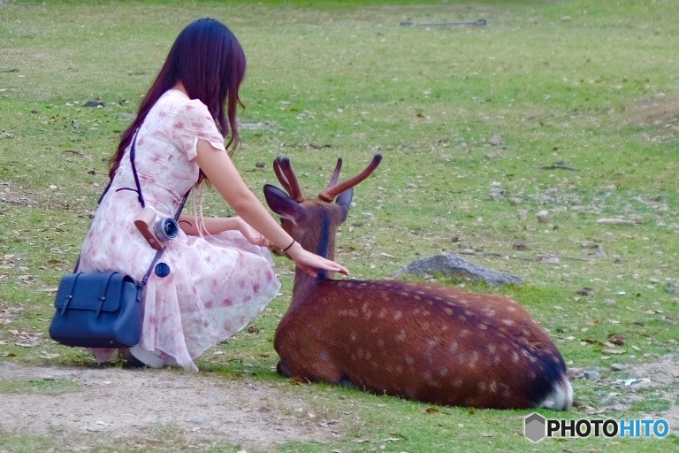 あちこちにお散歩してるお姉さんが〜（＾Ｏ＾）