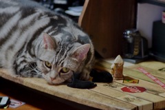 今日はPC周り模様替え（＾∇＾）